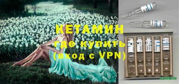 прущие крисы Гусев