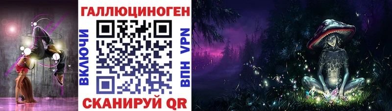 закладка  Нижний Новгород  Псилоцибиновые грибы Magic Shrooms 
