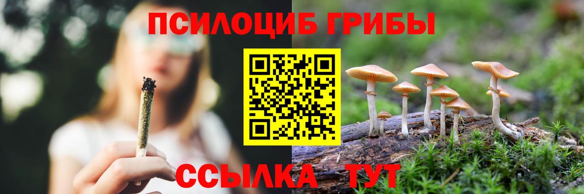 Нижний Новгород  Галлюциногенные грибы MAGIC MUSHROOMS  Вход с VPN 